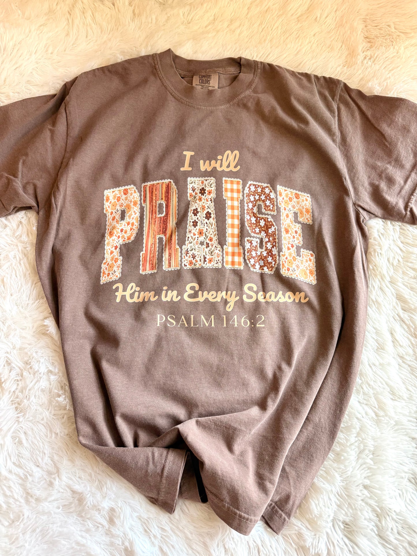 I will praise Him in every season graphic tee