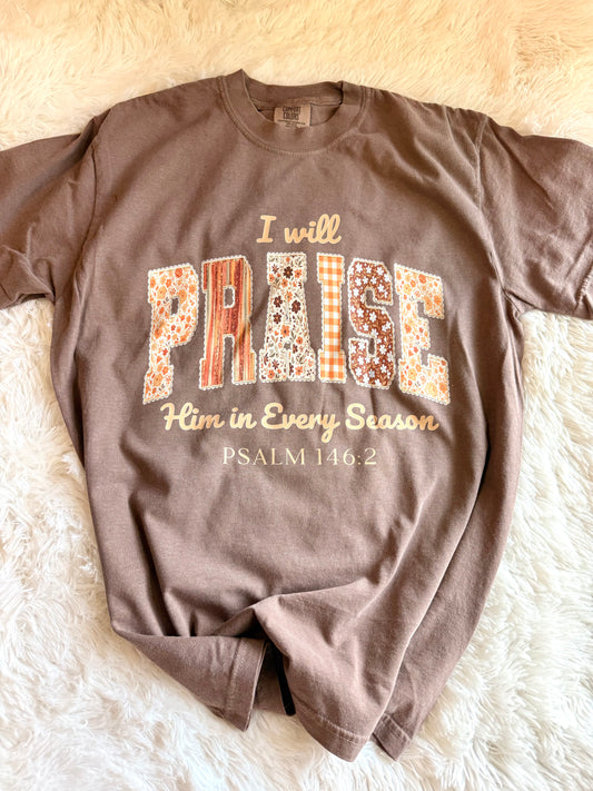 I will praise Him in every season graphic tee